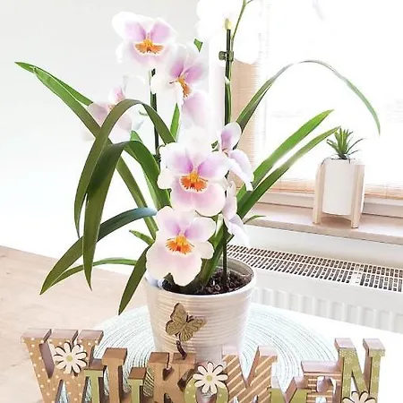アパート Ferienwohnung Pagel